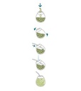 PLAYADITO Yerba Mate Despalada 500 Gr. | Yerba Mate Tea No Stems 1.1 Lb.