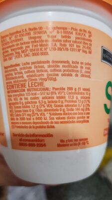 Yogur ser sin lactosa sabor natural pote 300grs