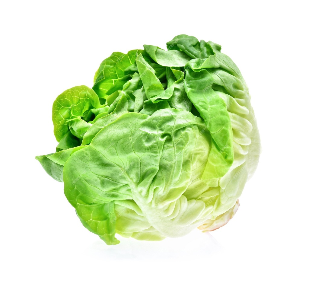 Lechuga Mantecosa