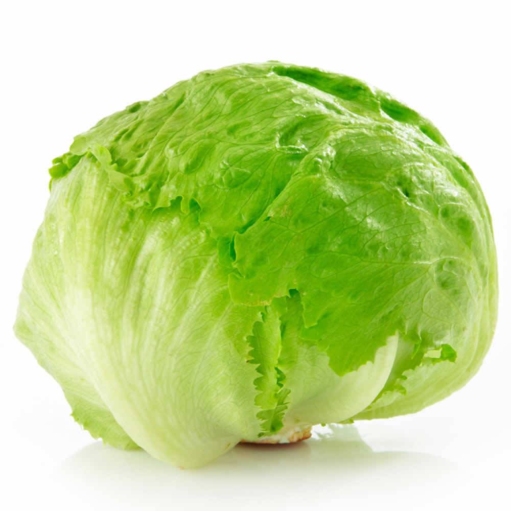 Lechuga Capuchina