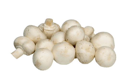 Champiñones
