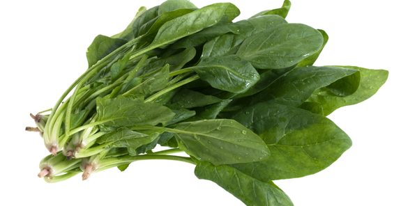 Espinaca