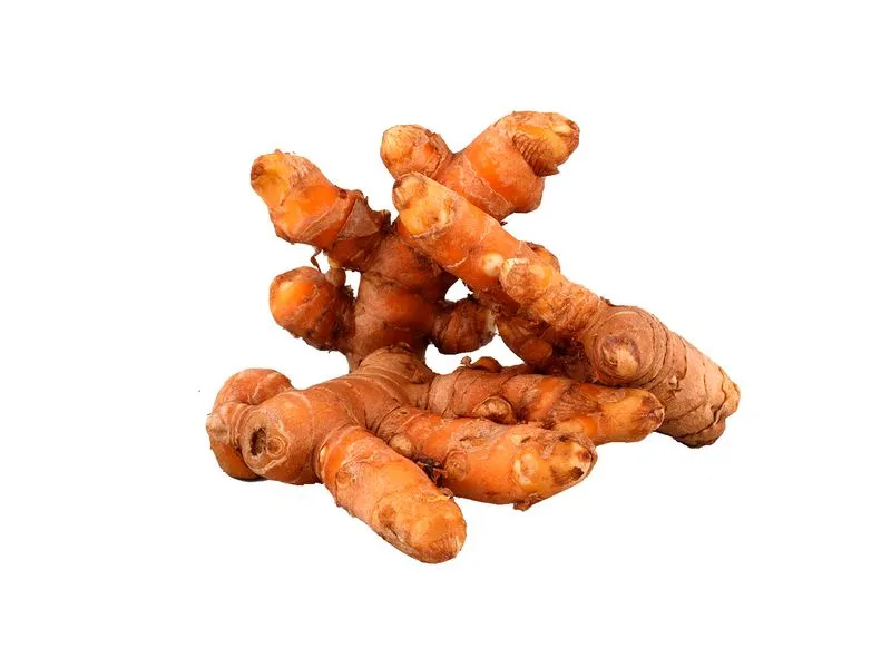 Curcuma