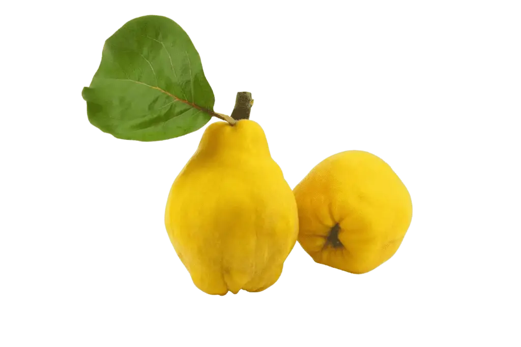 Membrillo
