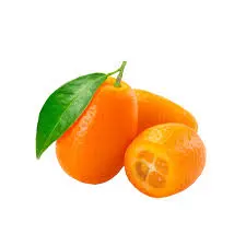 Quinotos