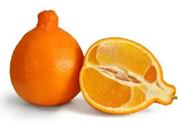 Mandarina Dancy