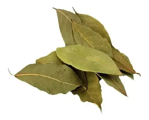 Laurel deshidratado