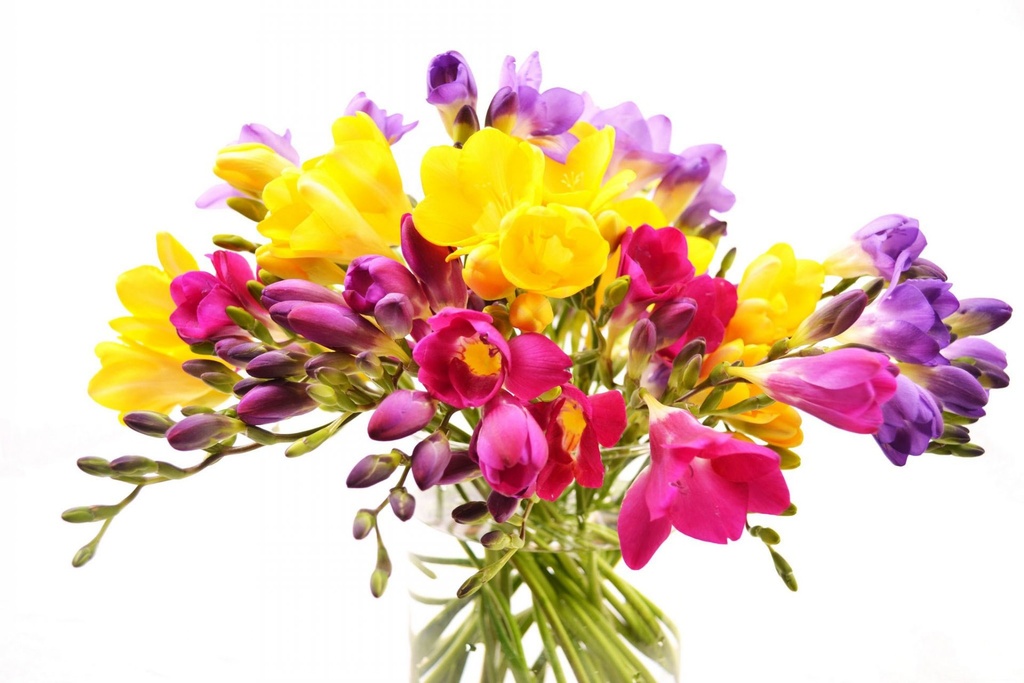 Ramo de Flores