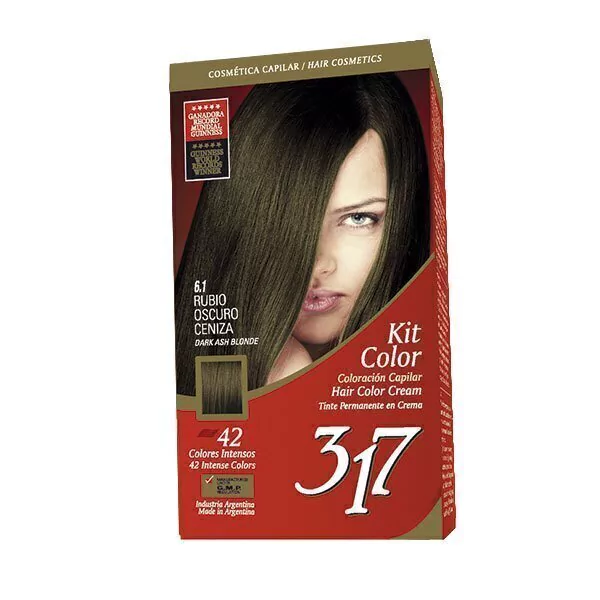 KIT 317 - Nº 6.1 Rubio Oscuro Ceniza