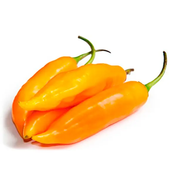 Aji Amarillo
