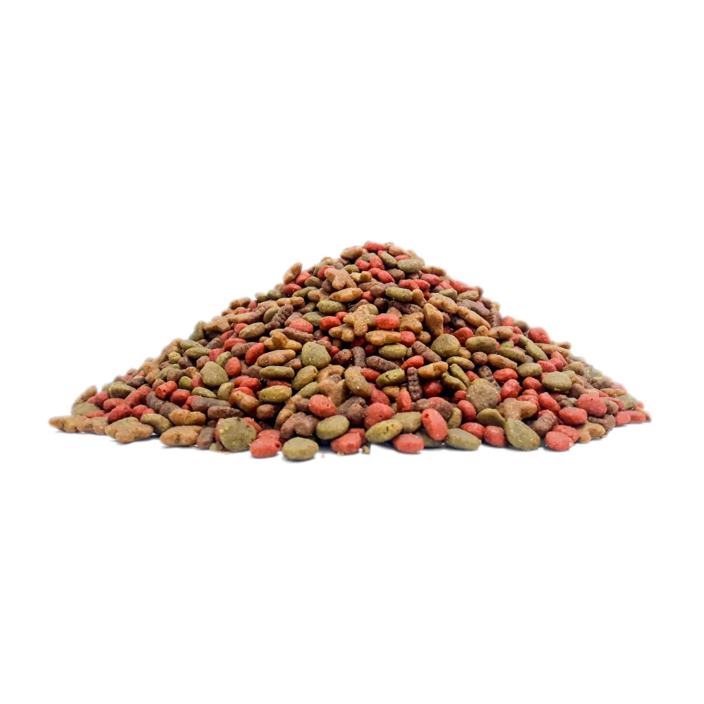 Cat Chow Gato Pescado y Pollo