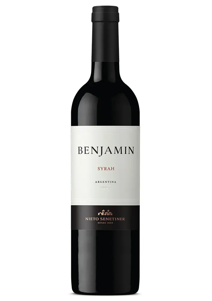 Benjamín Nieto Syrah 750Ml