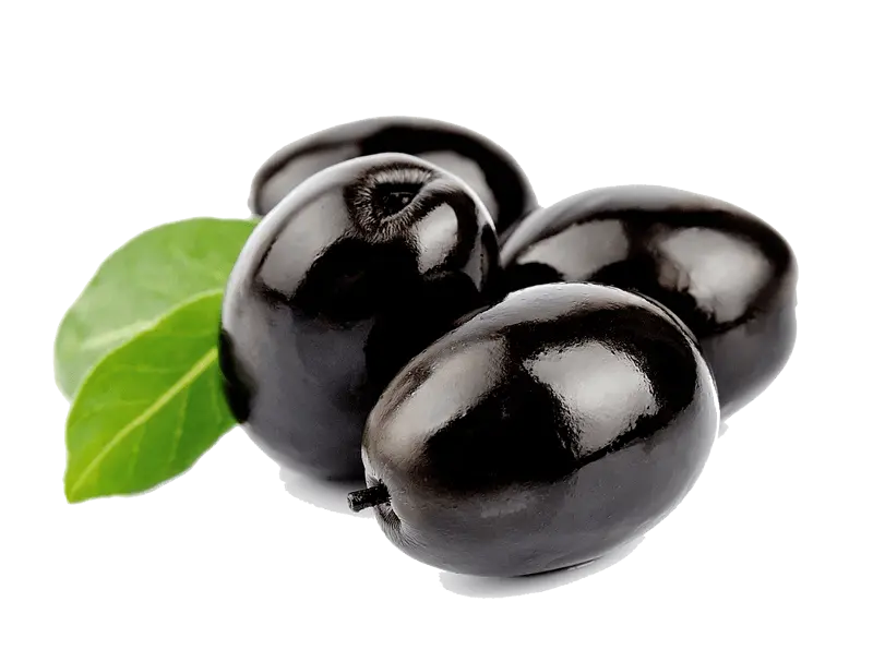 Aceitunas Negras Coquimbo
