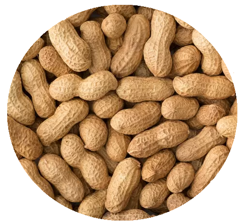 Maní Con Cáscara 200g