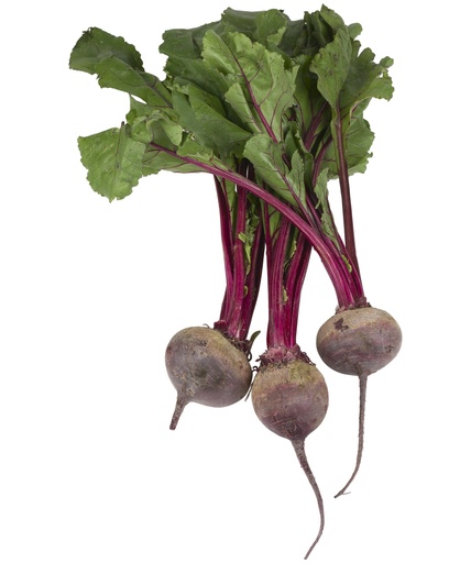 Remolacha