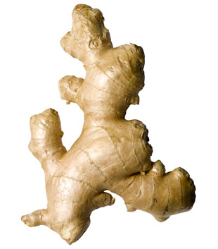 Jengibre 
