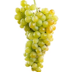 Uva Blanca