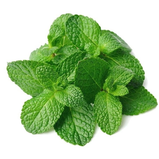 Menta