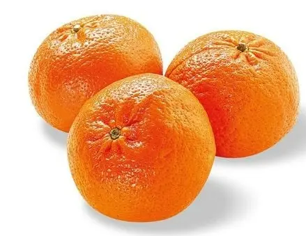 Mandarina ellendale