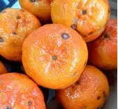Mandarina Encore