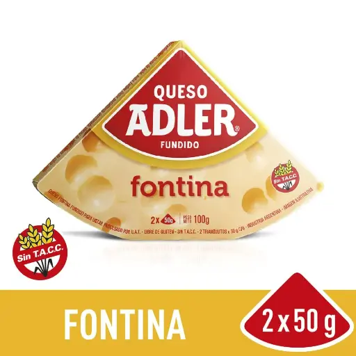 Queso Fontina Adler 100g