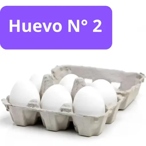 Huevo N° 2 x 6u