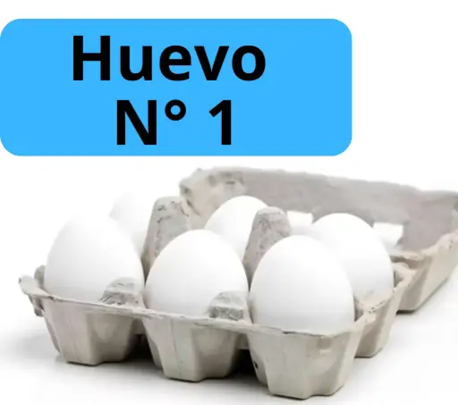 Huevo N°1 x 6u