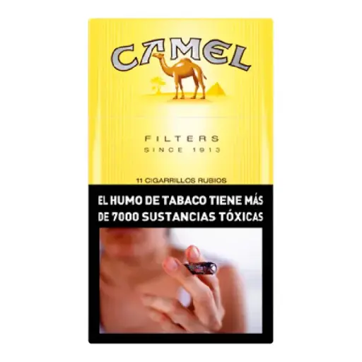 Camel Cigarrillos Box 12