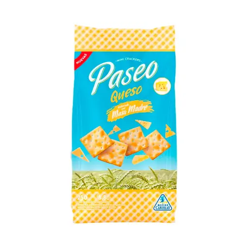 Galletitas Paseo Cracker Queso 250g
