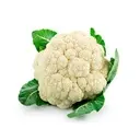 Coliflor